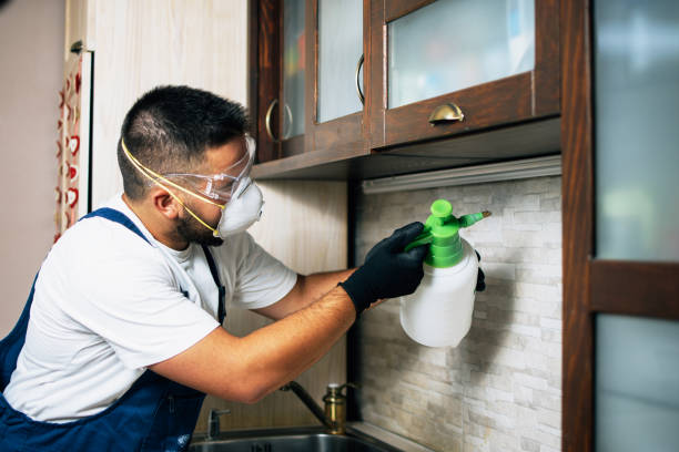  Prudenville, MI Pest Control Pros