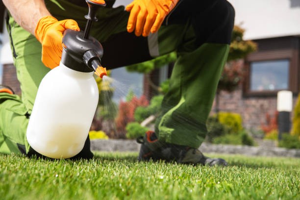 Best Wasp Removal Services  in Prudenville, MI