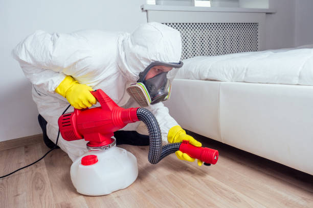 Professional Pest Control in Prudenville, MI