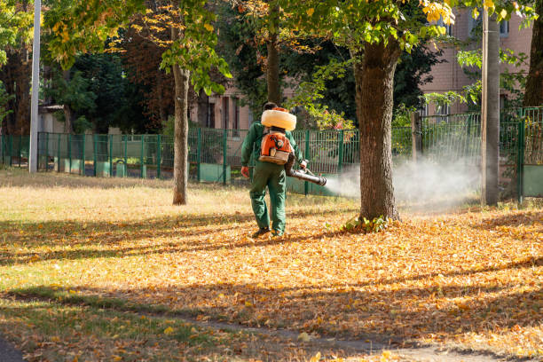 Wasp Removal Services in Prudenville, MI