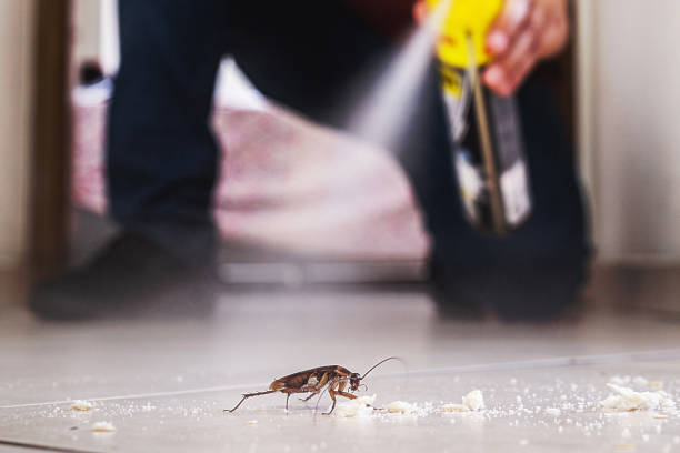 Best Pest Control for Homes  in Prudenville, MI