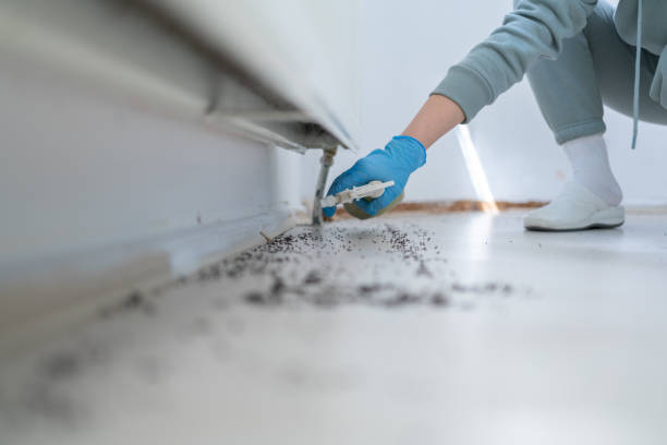 Best Ant Control Services  in Prudenville, MI