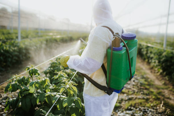 Best Bed Bug Extermination  in Prudenville, MI